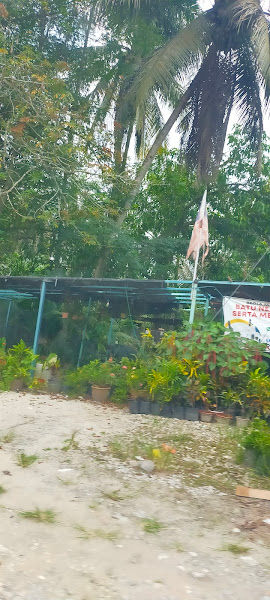 Anolie Nursery gallery