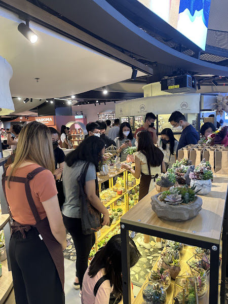 Little Eden Succulents KL Store @The Starhill KL gallery