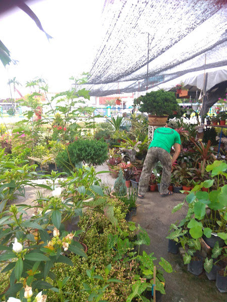 Ejies Pro Nursery gallery