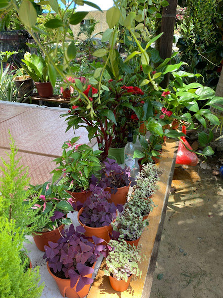 Nursery Kayangan gallery