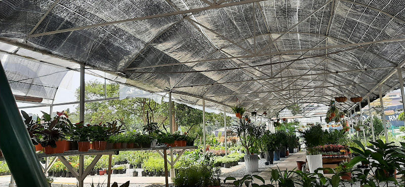 As Salam Greenland Nursery gallery