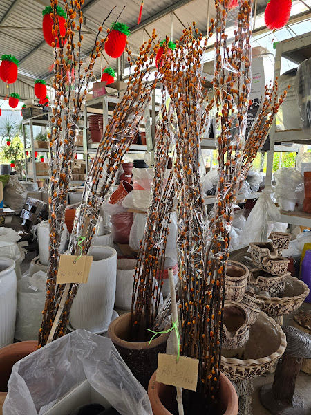 Kin Heng Plant Nursery
