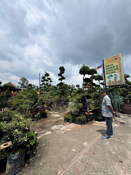 MANTIN Nursery & Landscape gallery