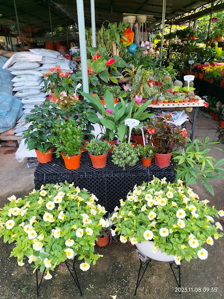 Annie Nursery gallery