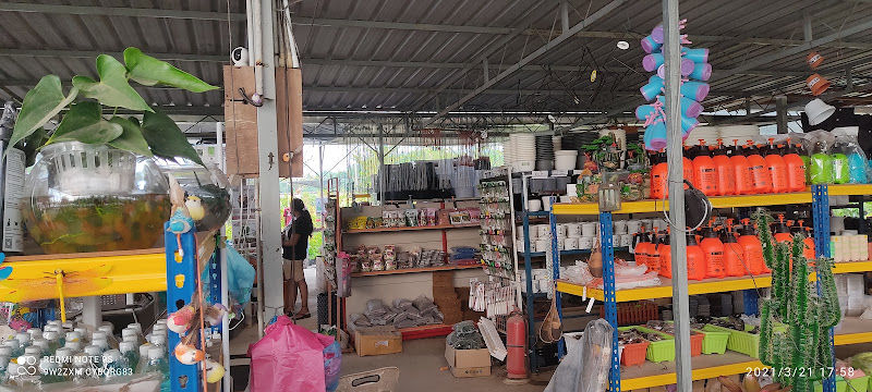 Soon Nursery Gardening gallery