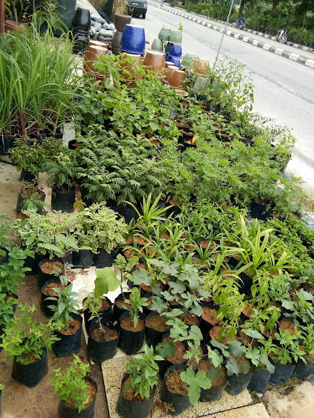 ma garden and landscape gallery