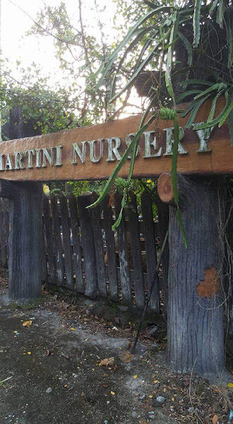 Hartini Nursery gallery