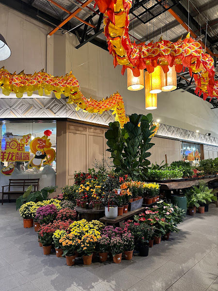 Village Collective gallery