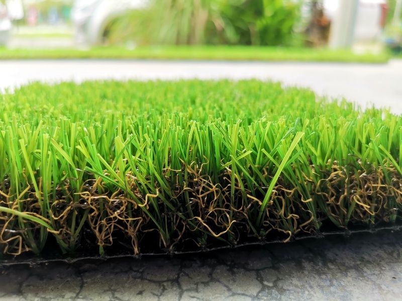 Eco Garden My gallery