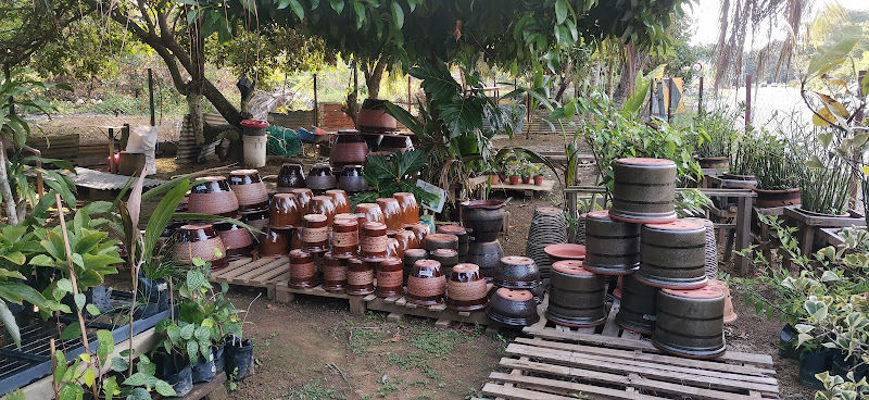 aBIL NURSERY gallery