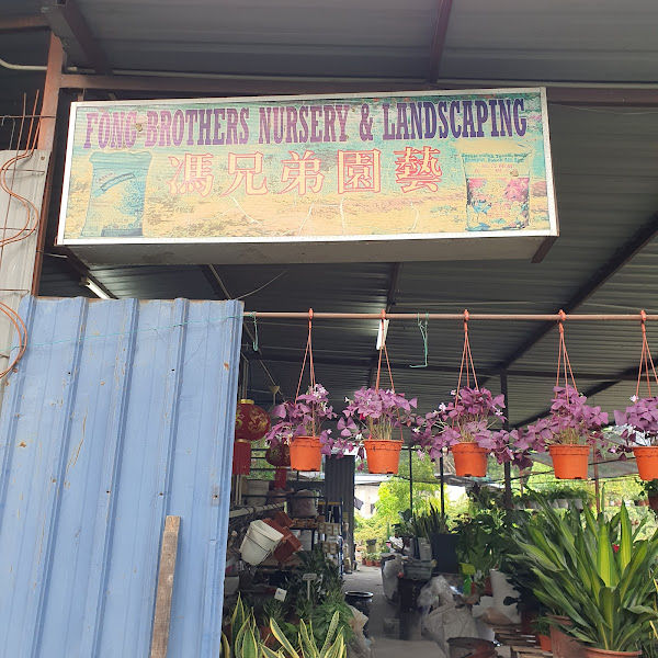 Fong Brothers Nursery and Landscaping gallery
