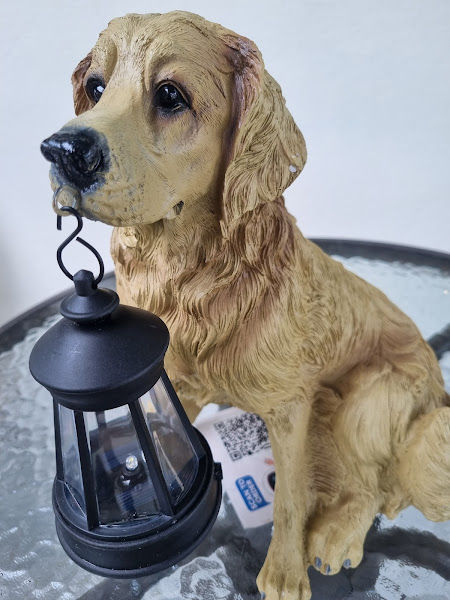 Fu Gui Nursery 富贵花圃 gallery