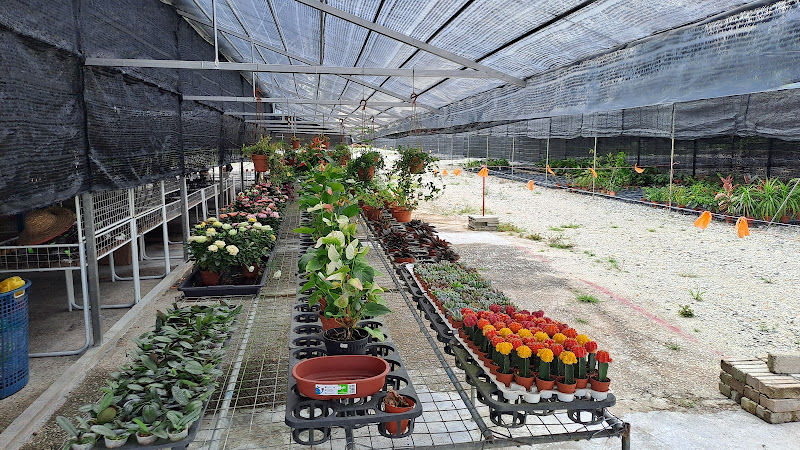 Baku Nursery gallery