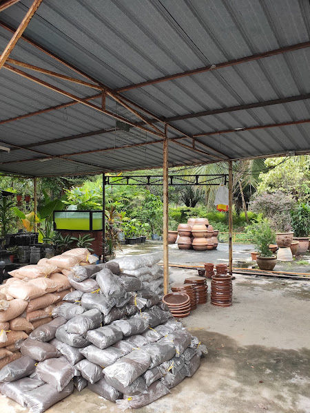 Nursery Pasar Borong Selangor gallery