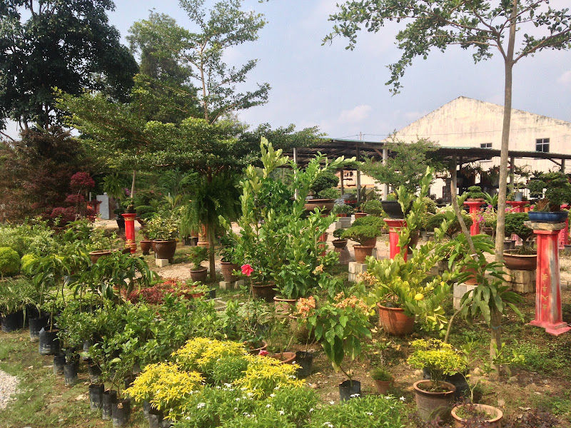 Bros nursery gallery