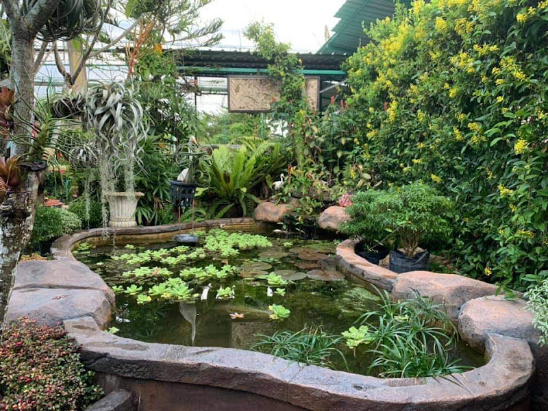 Lot Greens Enterprise gallery