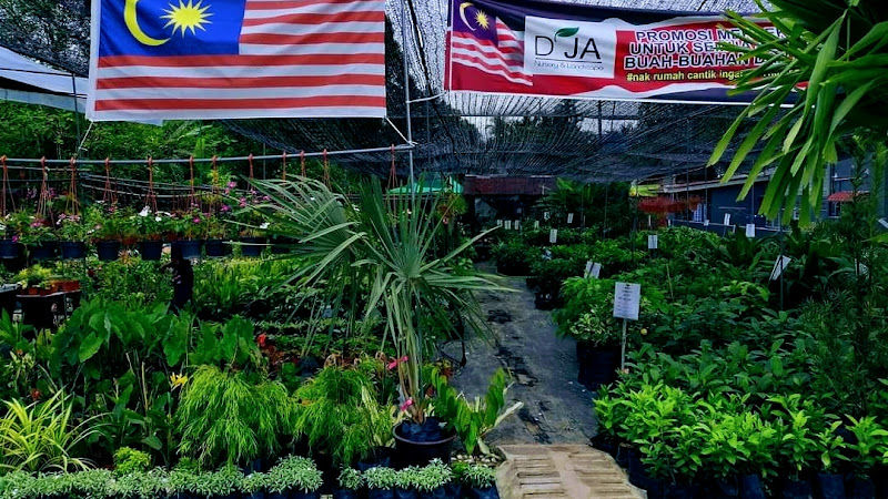 D'ja Nursery Ipoh gallery