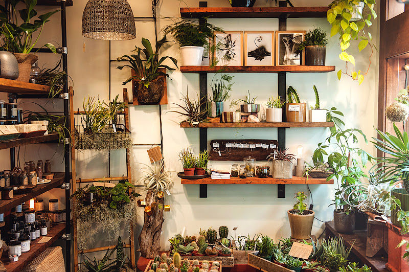Geogetown Florist & Green Plant Society gallery