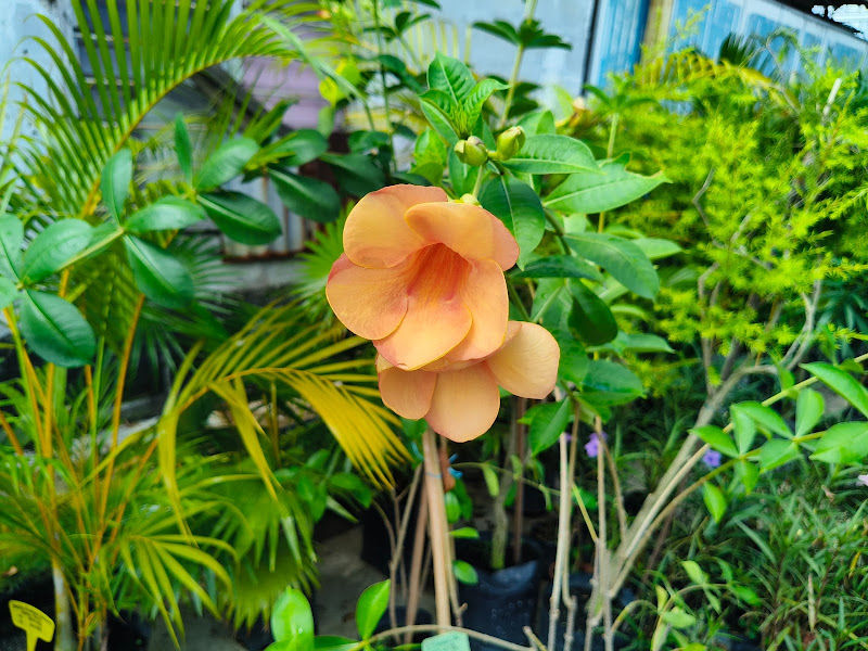 HAPPY Garden & Landscape (Sales Office) gallery