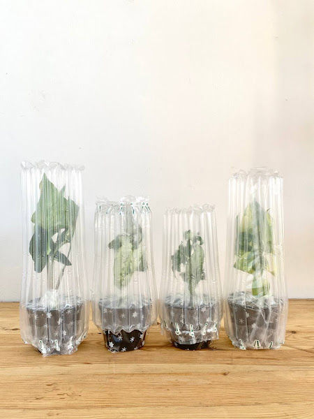 Tropicaland Agro gallery