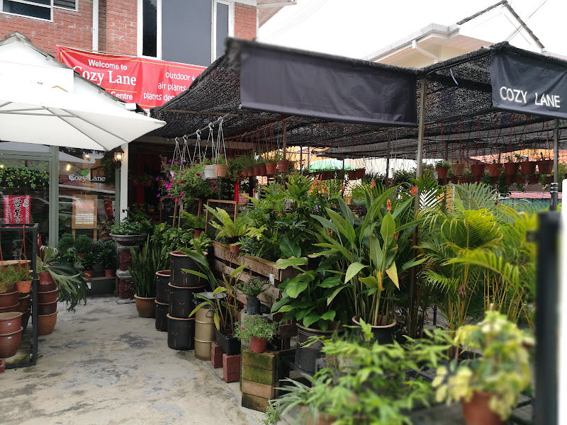 Cozy Lane Garden Center gallery