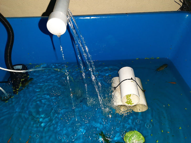 Murat Aquaponic Garden gallery