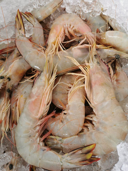 Fresh Life Nursery gallery