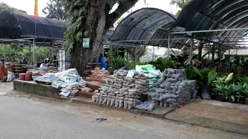 Leong Nursery gallery