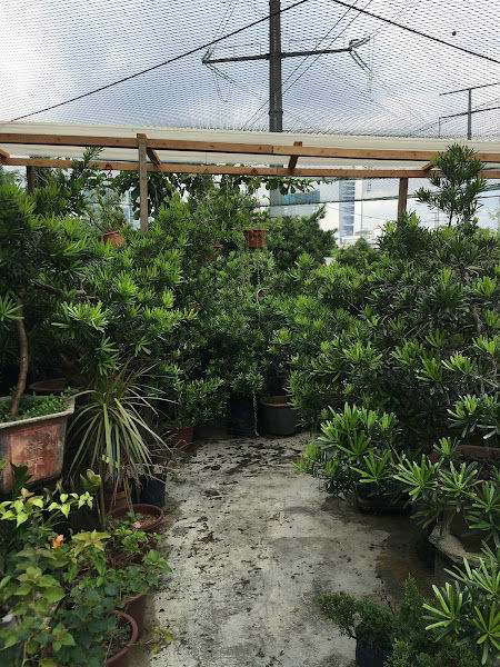 Hua May Nursery gallery