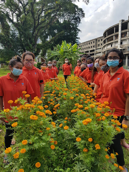 Sayur In The City @ YWCA KL