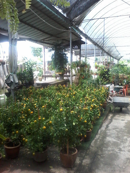 Pun Sam Landscape gallery