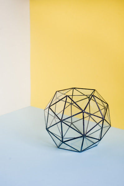 Ficusandjars Jangalow gallery