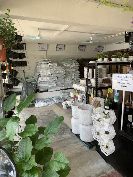 MAL BUNGA NURSERY gallery