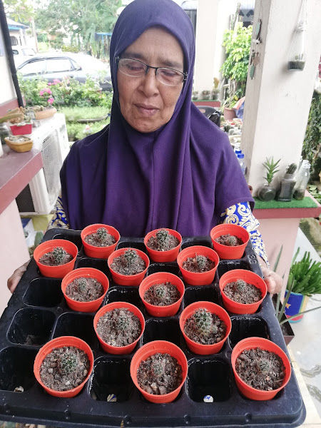 Mak Tok Garden gallery