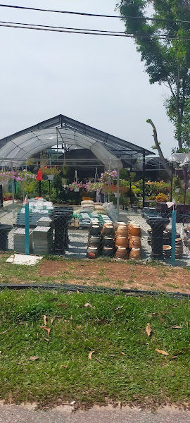 As Salam Greenland Nursery gallery