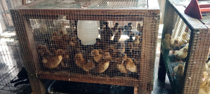 ZACON NIAGA SDN BHD gallery