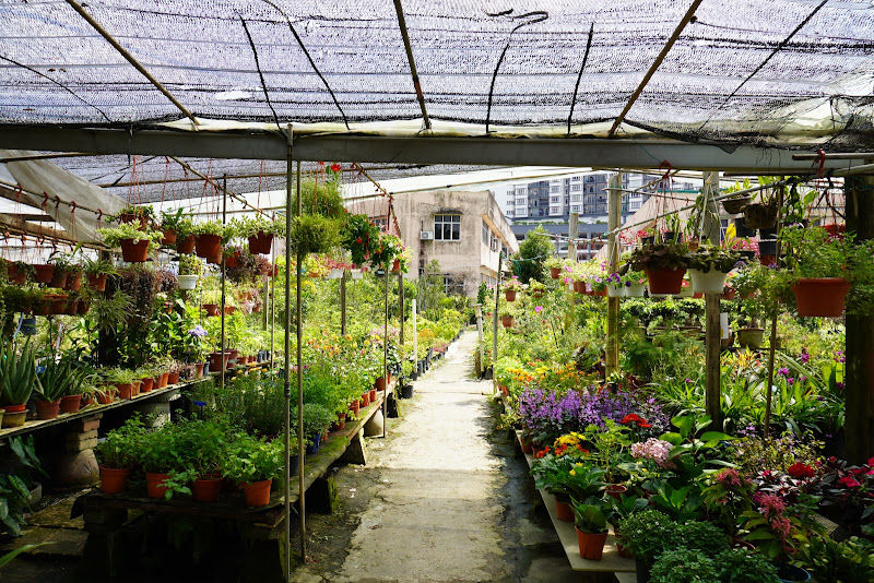 Kajang Nursery and Landscape gallery