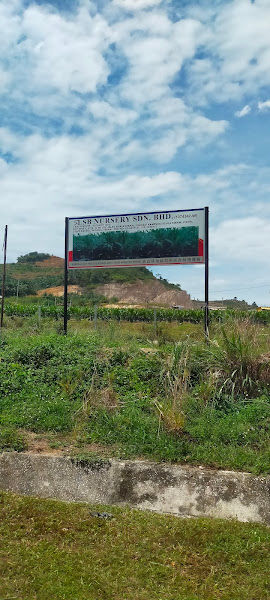 SLSB Nursery gallery