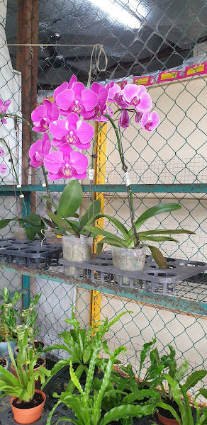 Home Retreat Sdn Bhd gallery