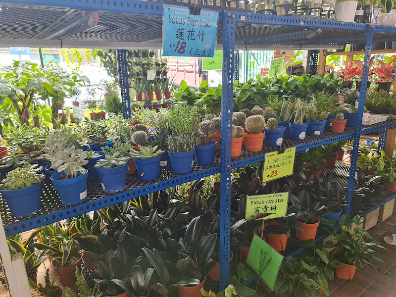 Biogreen Nursery & Florist gallery