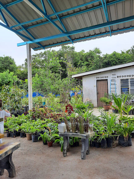 CitaTani Nursery gallery