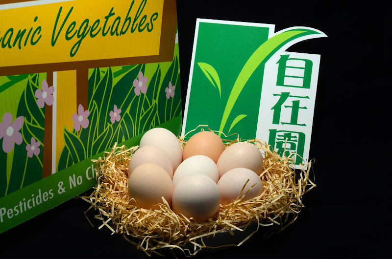 Suan Mokkh Garden gallery