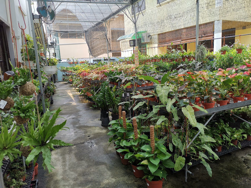 Garden Plus Enterprise gallery