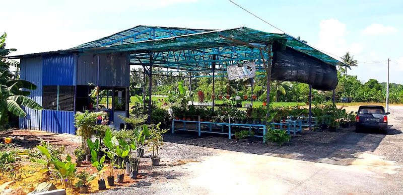 NSZ Mekar Nursery gallery