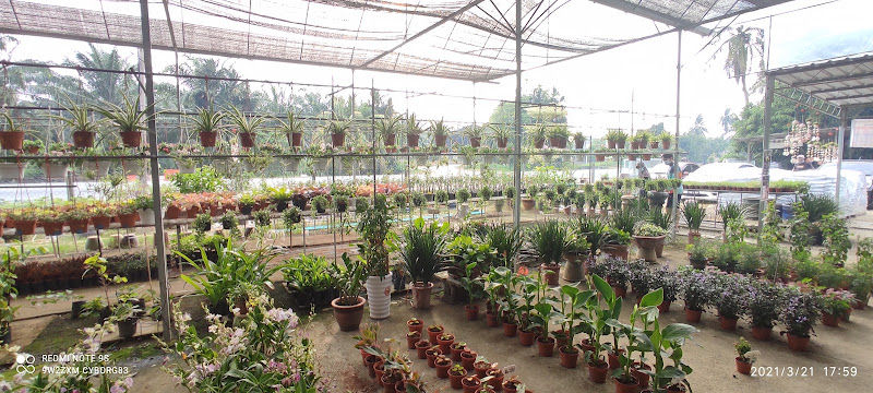 Soon Nursery Gardening gallery