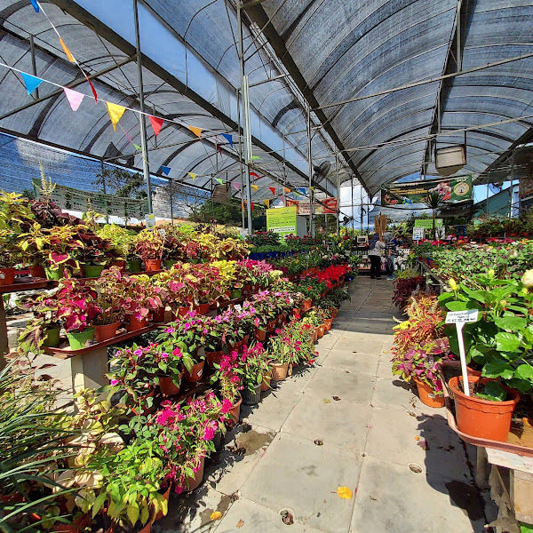 GreenSea GardenMart gallery