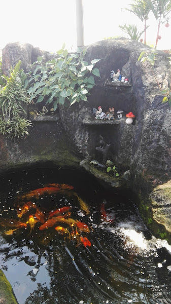 Fui Sun Garden gallery