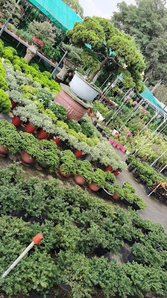 Levoreg garden绿和益园艺中心 gallery