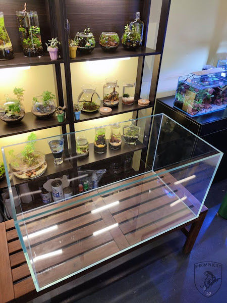 Serendipity In Green gallery