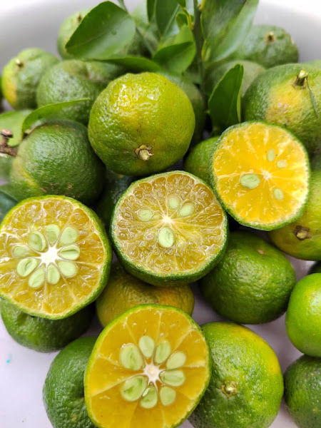 Citroplant Horticulture Enterprise gallery